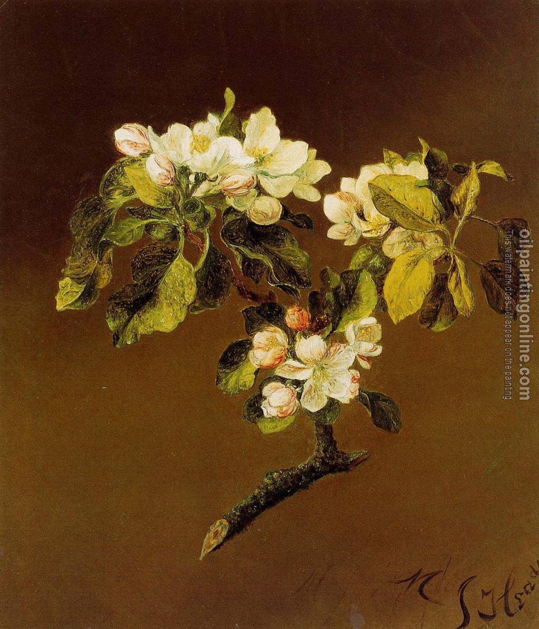 Heade, Martin Johnson - A Spray of Apple Blossoms